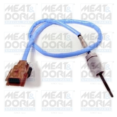 Sensor, exhaust gas temperature